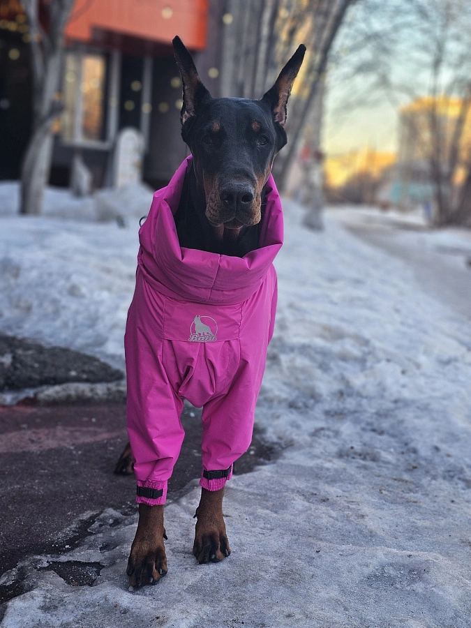 Фотография к отзыву от Елена .