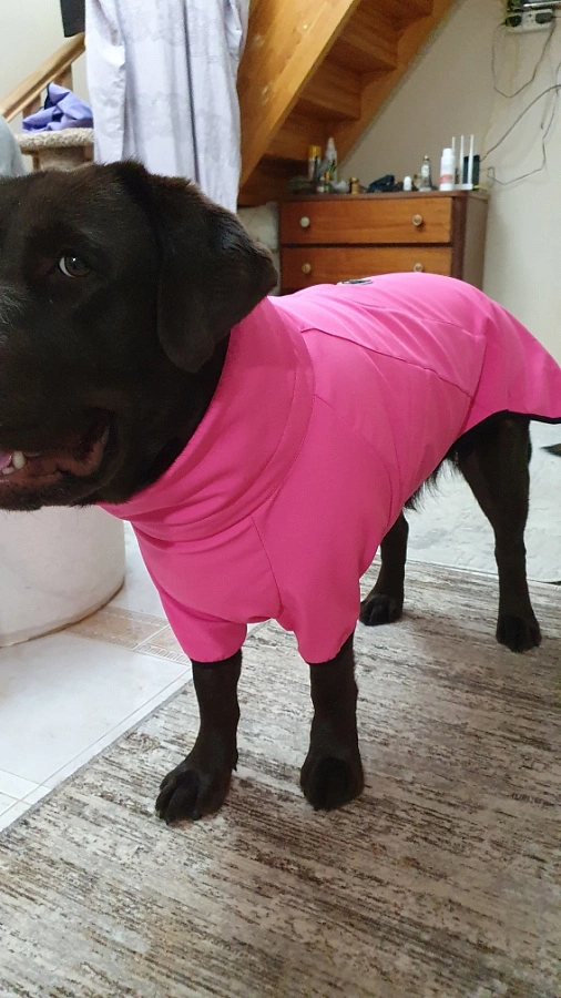 Фотография к отзыву от Марина. Товар: <a href='/catalog/product/popona-softshell-24/'>Попона Softshell'24</a>