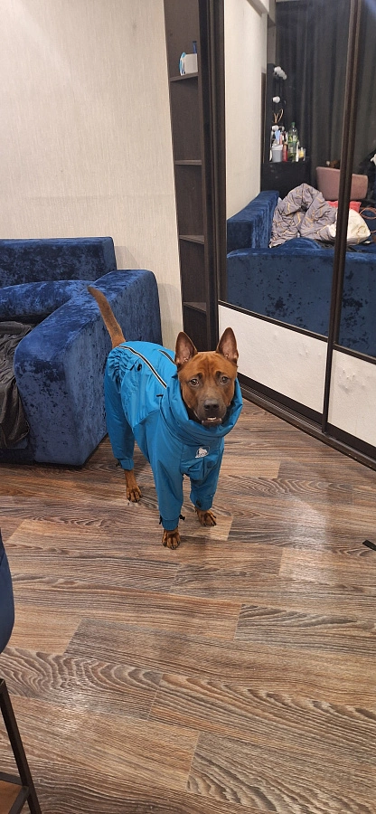 Фотография к отзыву от Скрябина Мария Викторовна.