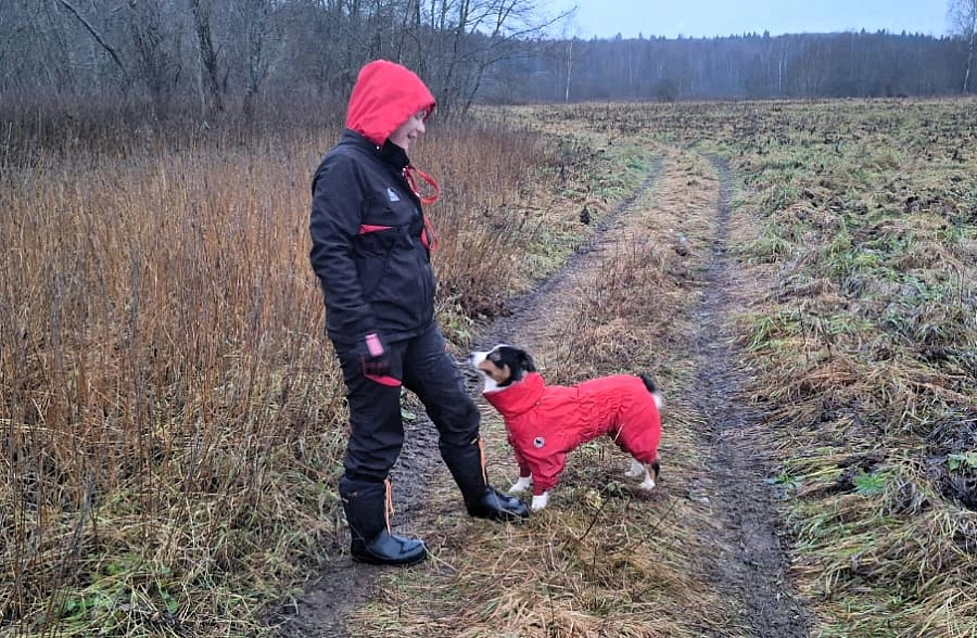 Фотография к отзыву от Смолкина Валентина Анатольевна . Товар: <a href='/catalog/product/bryuki-softshell/'>Брюки Softshell (утепленные)</a>