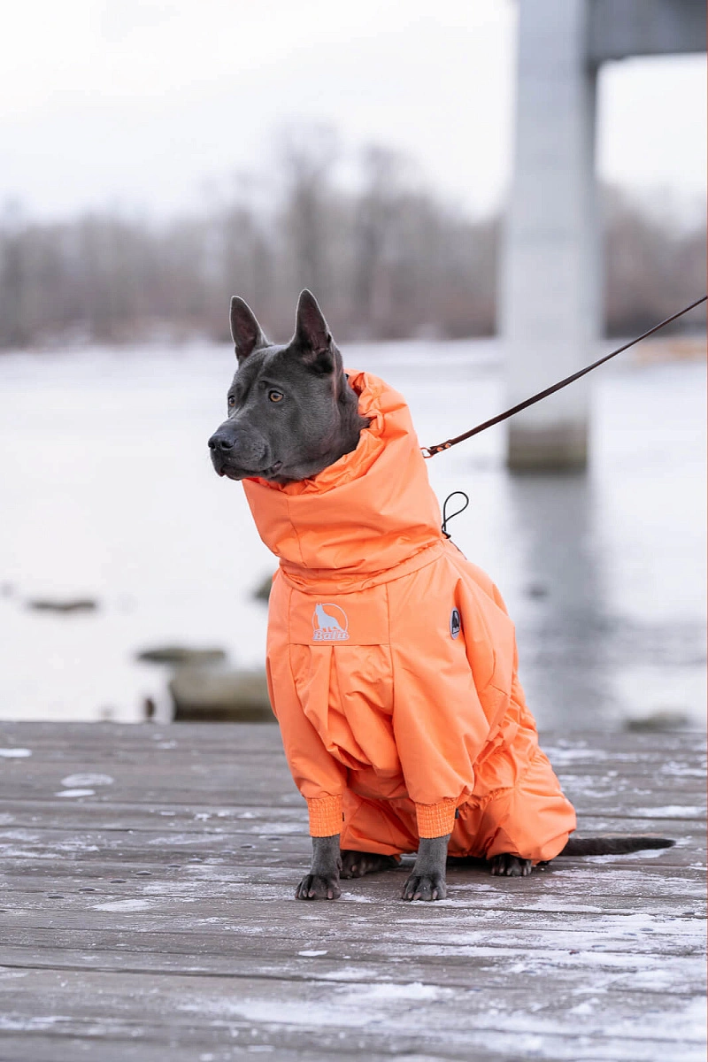 Зимний комбинезон'24