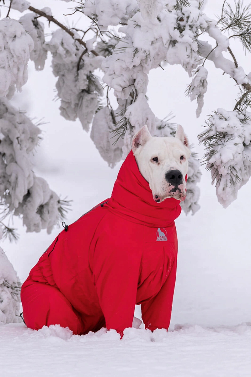 Зимний комбинезон'24