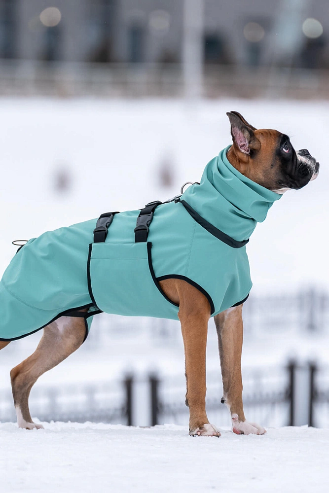 Попона Softshell (2026)