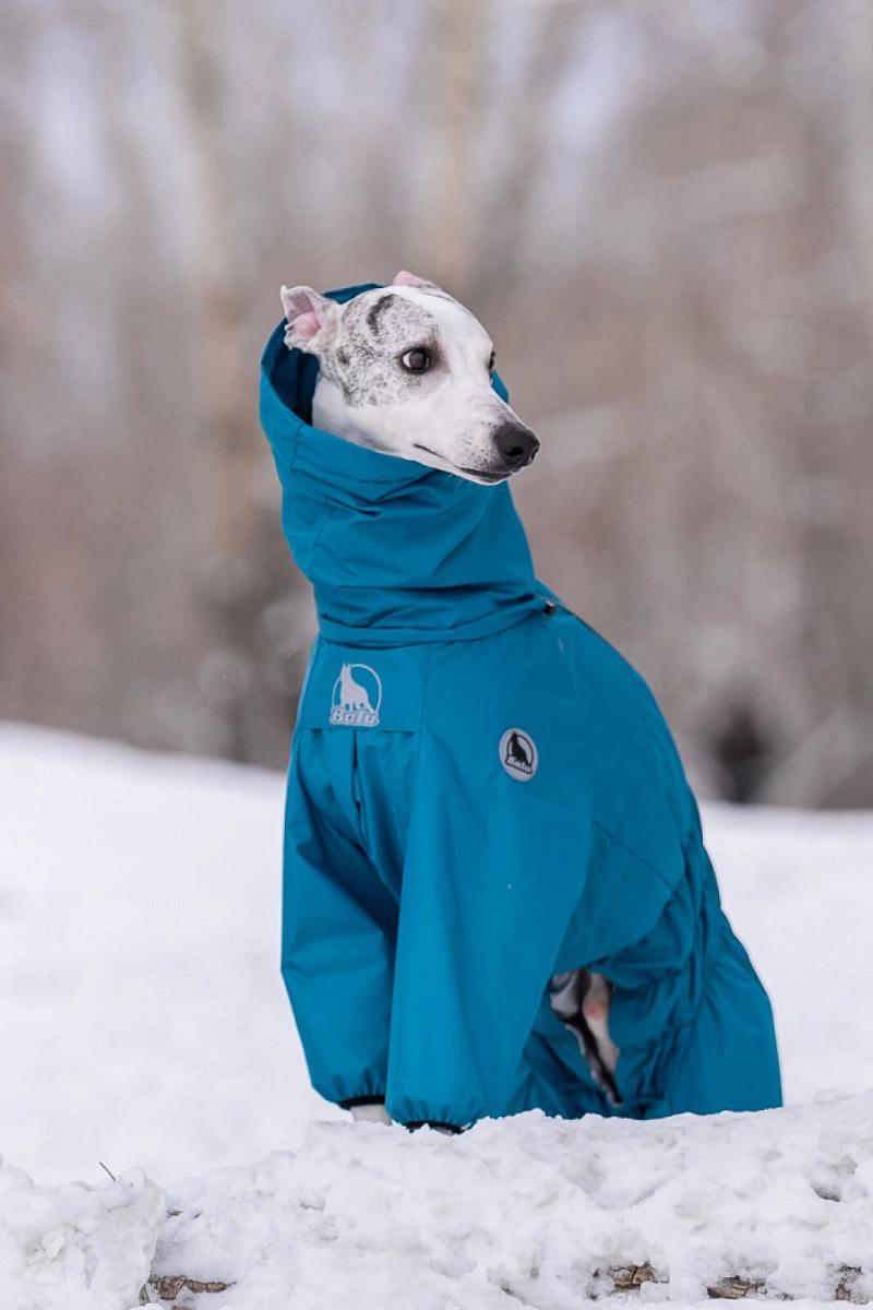 Зимний комбинезон'24