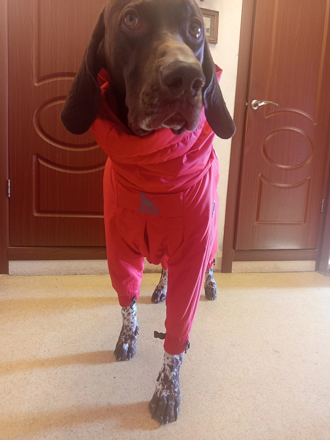 Фотография к отзыву от Галкина Эльмера Рифатьевна.