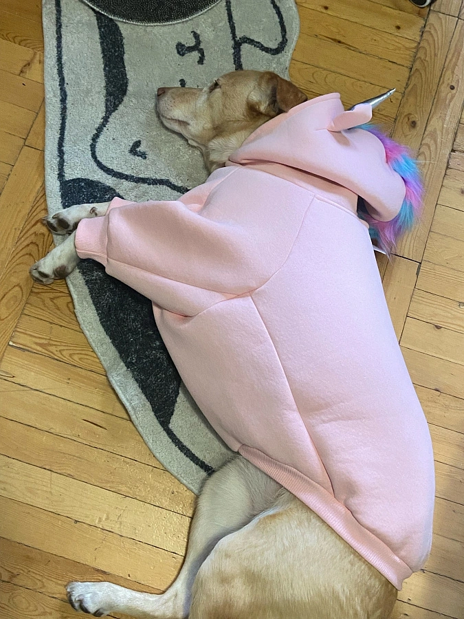 Фотография к отзыву от Виктория. Товар: <a href='/catalog/product/novogodnyaya-tolstovka-edinorog-rozovaya/'>Толстовка "Единорог" (розовая)</a>