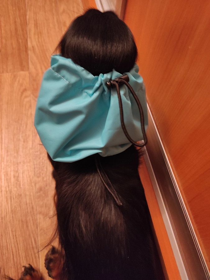 Фотография к отзыву от Козлова Светлана Валентиновна.