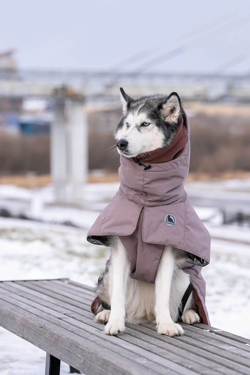 Спортивная попона