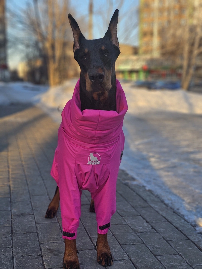 Фотография к отзыву от Елена .