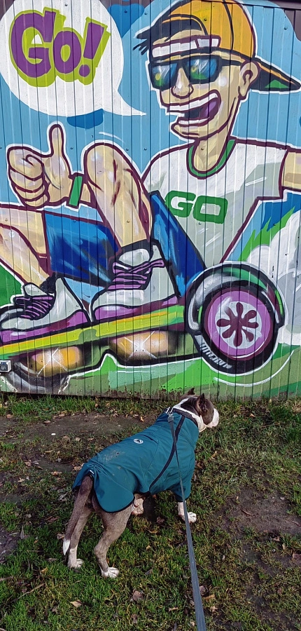 Фотография к отзыву от Щавлева Татьяна Александровна.