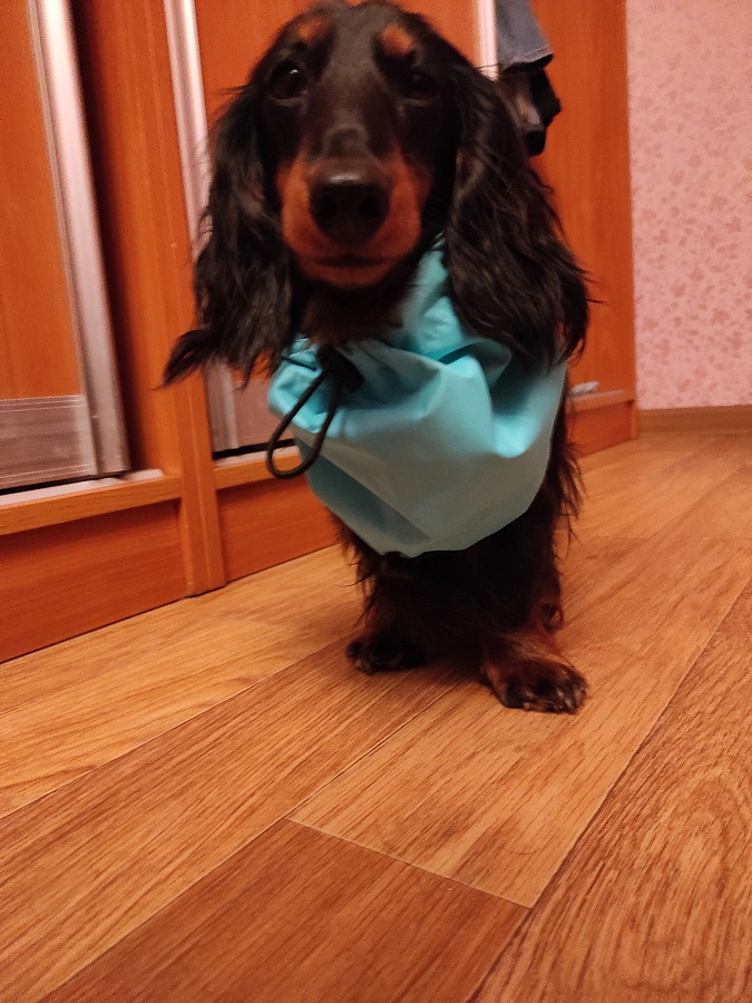 Фотография к отзыву от Козлова Светлана Валентиновна.