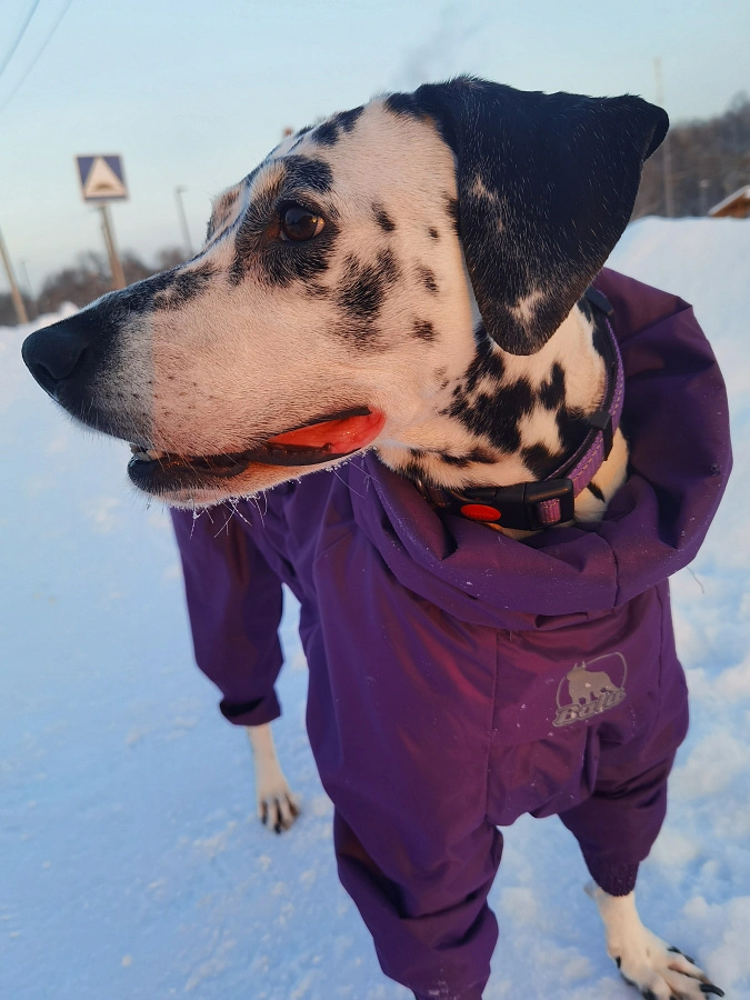 Фотография к отзыву от Гуминская Вера Николаевна .
