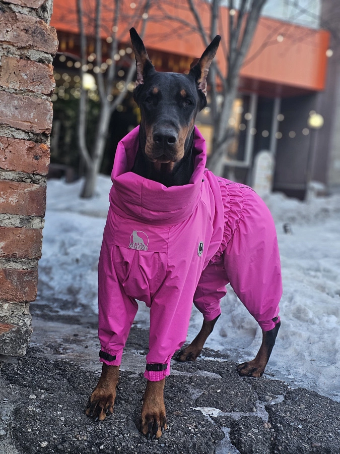 Фотография к отзыву от Елена .