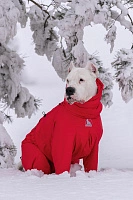 Зимний комбинезон'24