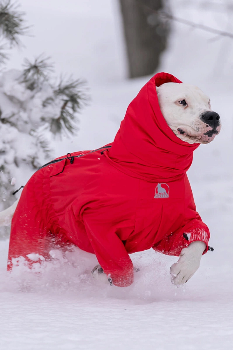 Зимний комбинезон'24