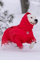 Зимний комбинезон'24