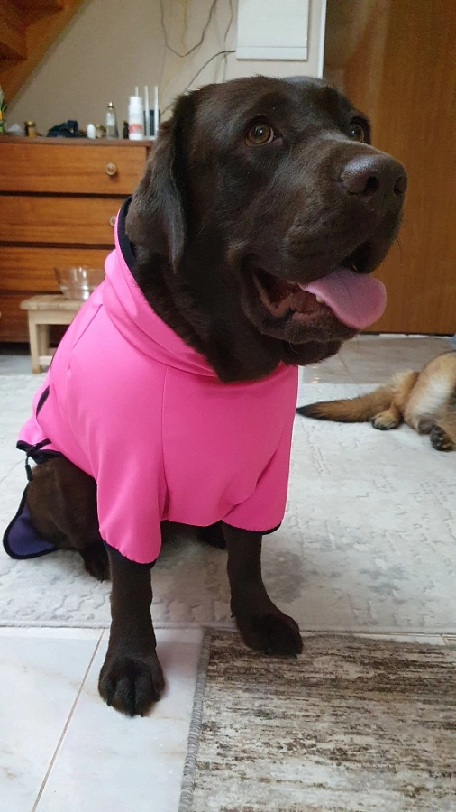 Фотография к отзыву от Марина. Товар: <a href='/catalog/product/popona-softshell-24/'>Попона Softshell'24</a>