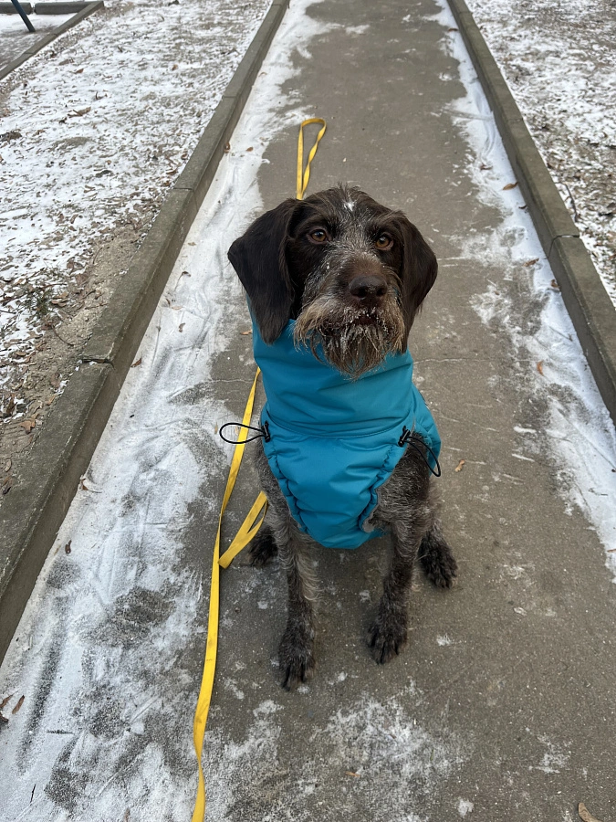 Фотография к отзыву от Дарья Александровна Артемьева. Товар: <a href='/catalog/product/zimnyaya-popona/'>Зимняя попона</a>