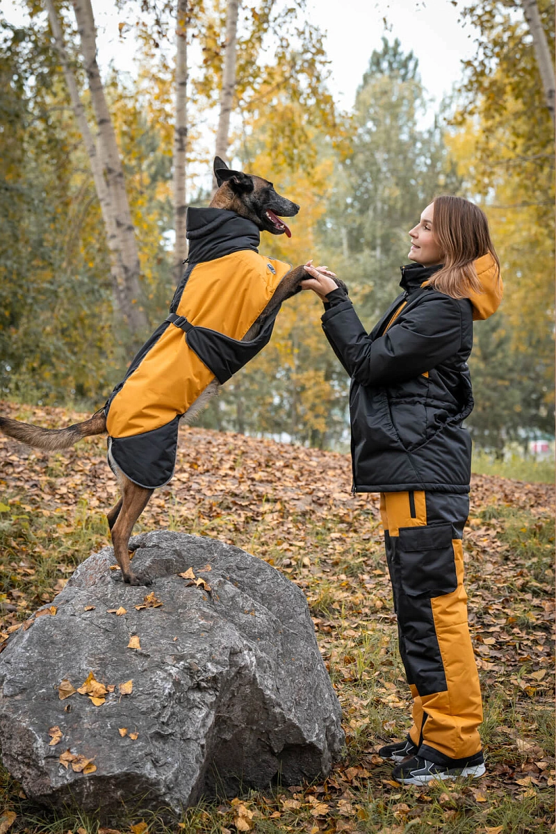 Спортивная попона