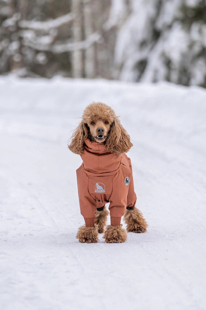 Зимний комбинезон'24