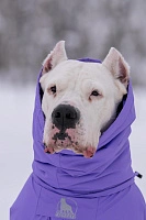 Зимний комбинезон'24