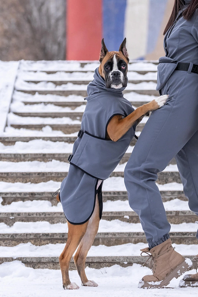 Попона Softshell (2026)