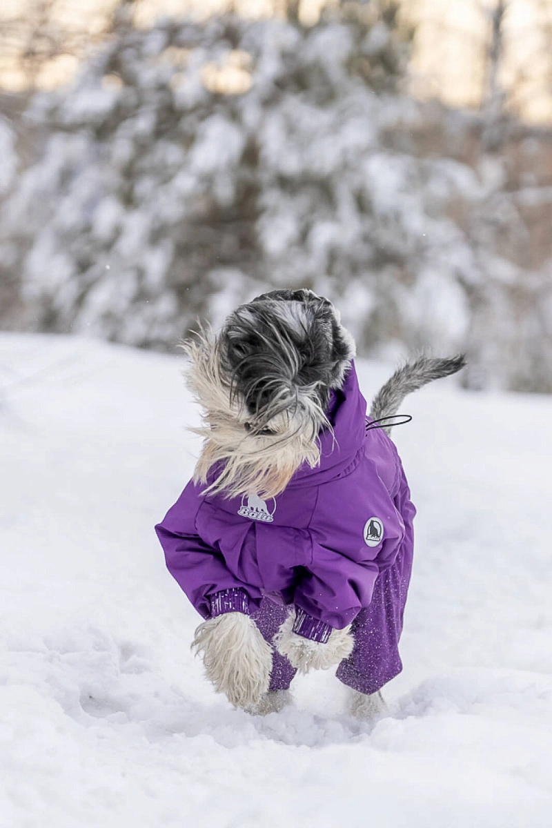 Зимний комбинезон'24