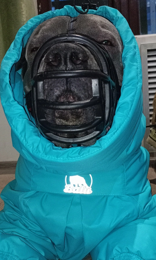 Фотография к отзыву от Гусман.