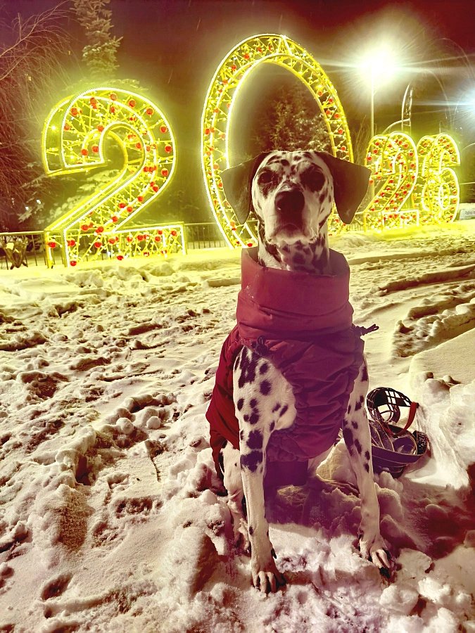 Фотография к отзыву от Гуминская Вера Николаевна .