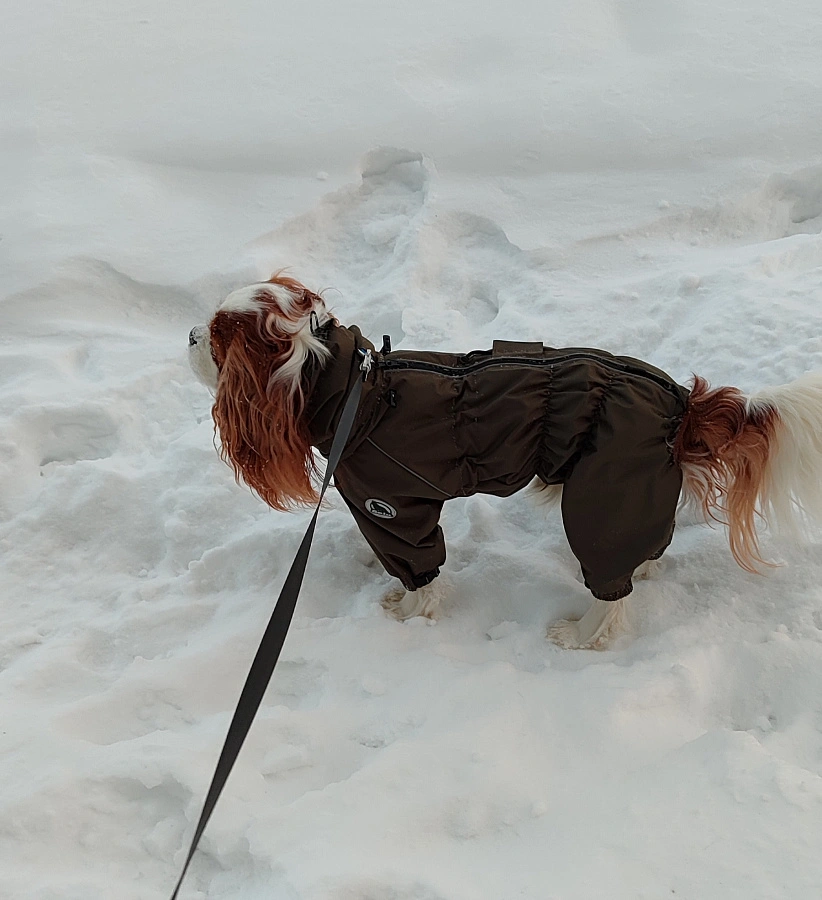 Фотография к отзыву от Бирюкова Анна Юрьевна.