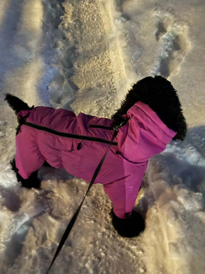 Фотография к отзыву от Козинская Светлана Анатольевна.