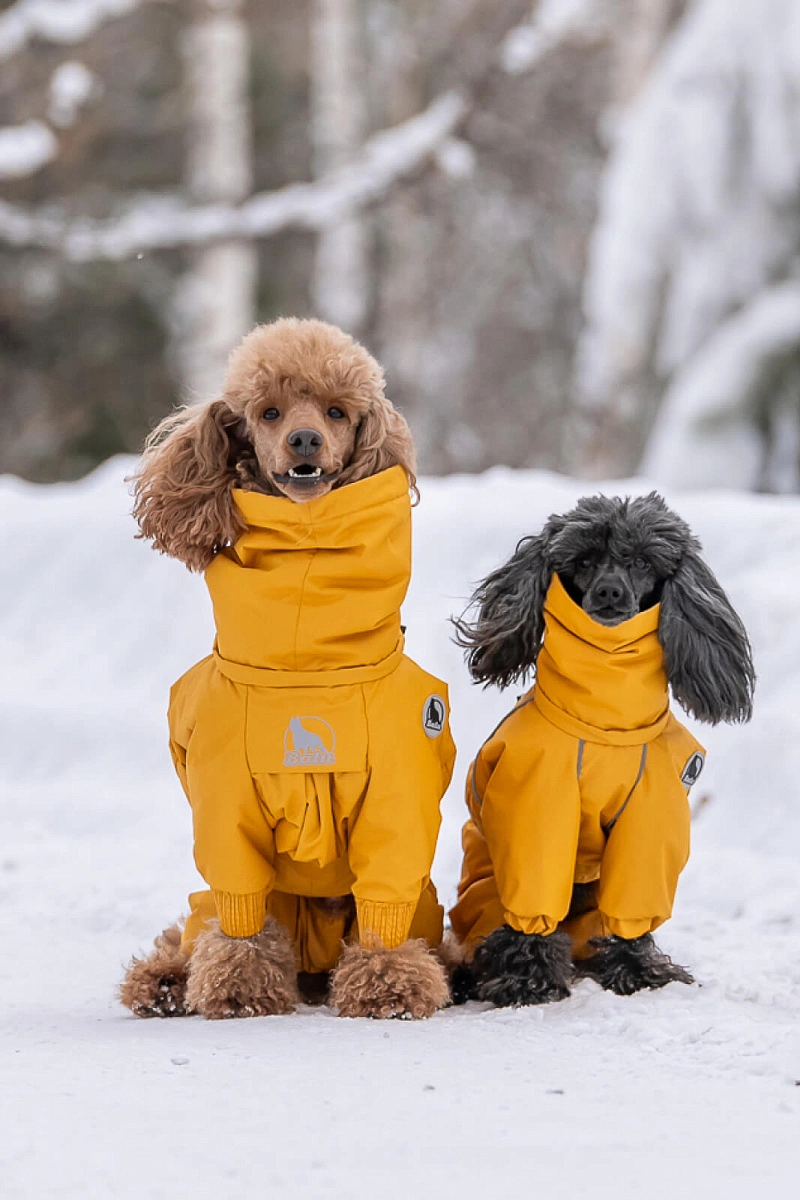 Зимний комбинезон'24