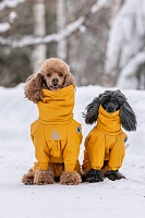 Зимний комбинезон'24