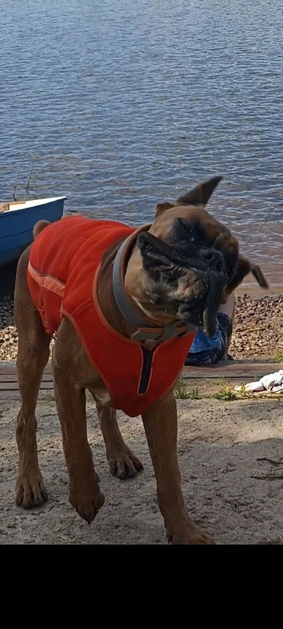 Фотография к отзыву от Беликова Людмила Николаевна. Товар: <a href='/catalog/product/okhlazhdayushchiy-zhilet/'>Охлаждающий жилет</a>