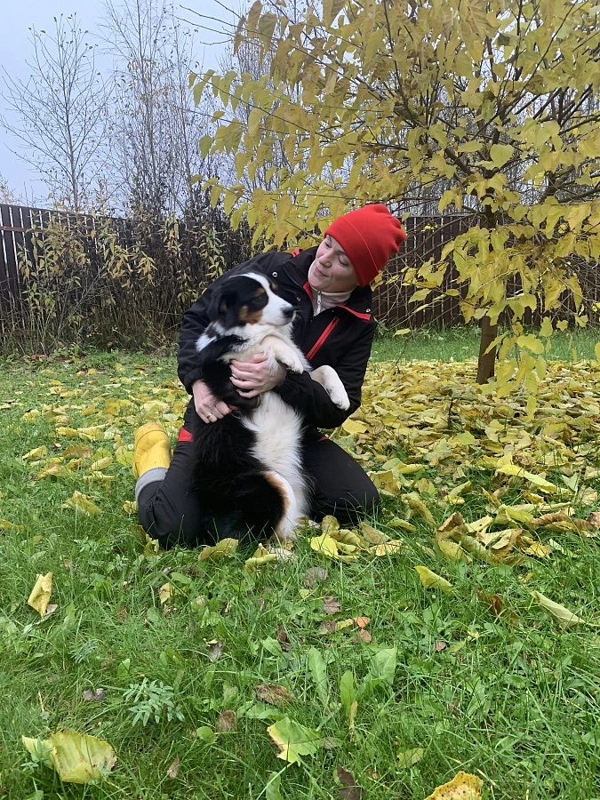 Фотография к отзыву от Смолкина Валентина Анатольевна . Товар: <a href='/catalog/product/bryuki-softshell/'>Брюки Softshell (утепленные)</a>