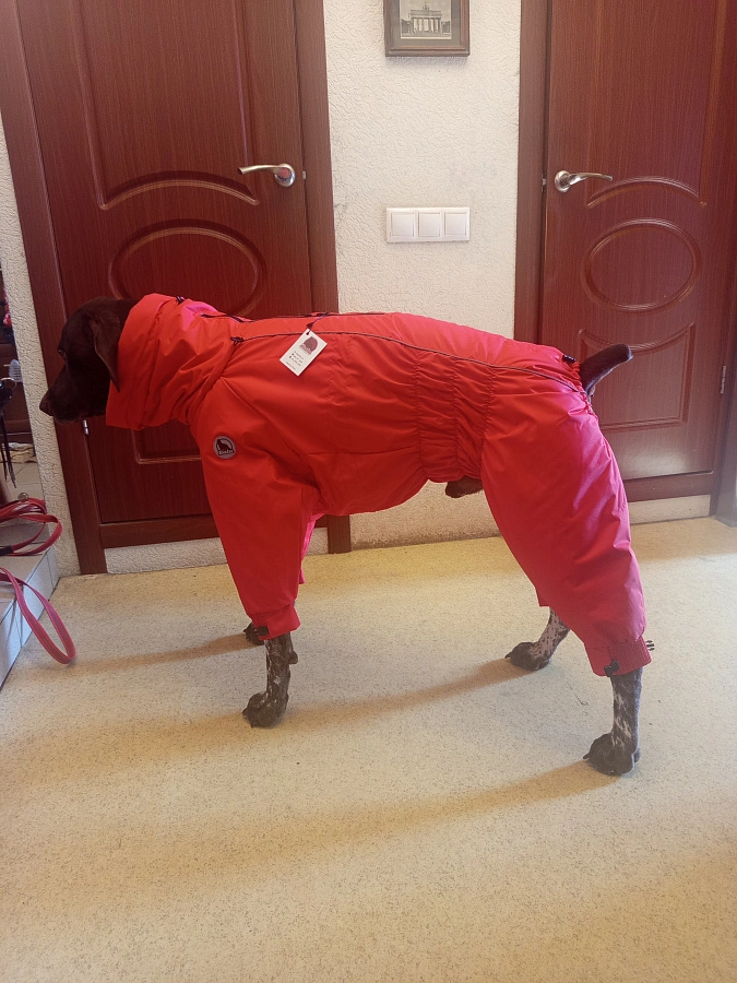 Фотография к отзыву от Галкина Эльмера Рифатьевна.