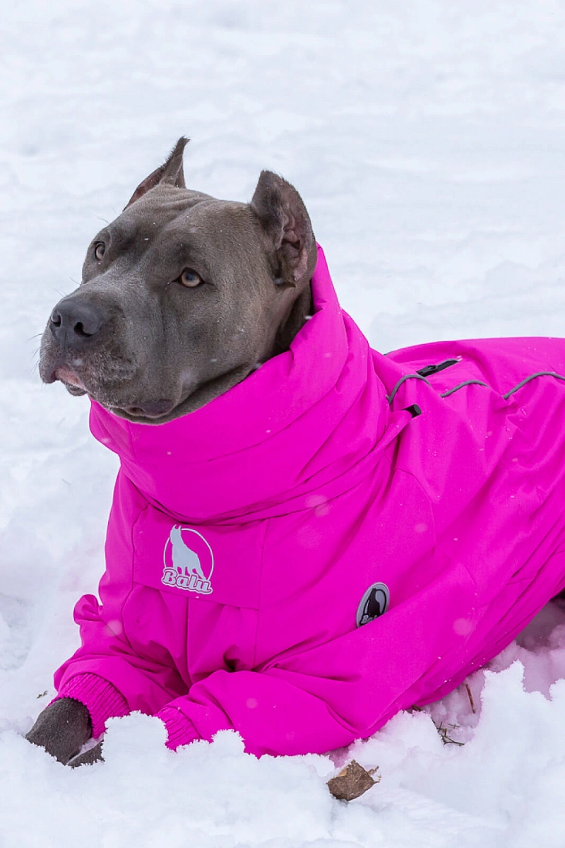 Зимний комбинезон'24