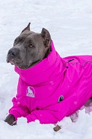 Зимний комбинезон'24