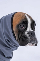 Попона Softshell (2026)