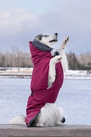Спортивная попона