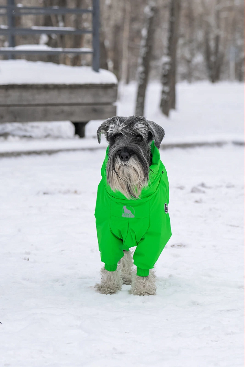 Зимний комбинезон'24