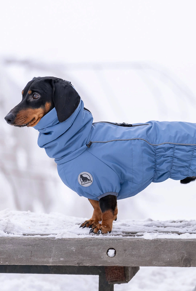 Зимний комбинезон для такс