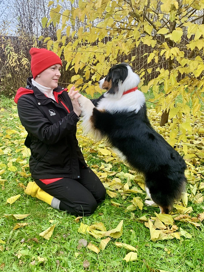 Фотография к отзыву от Смолкина Валентина Анатольевна . Товар: <a href='/catalog/product/bryuki-softshell/'>Брюки Softshell (утепленные)</a>