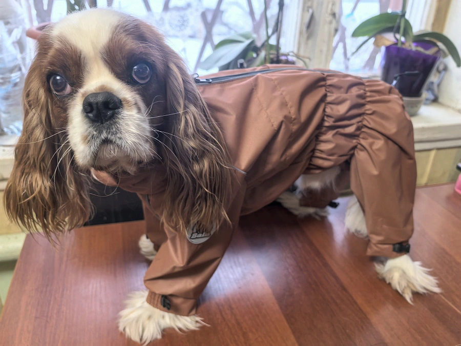 Фотография к отзыву от Любовь.