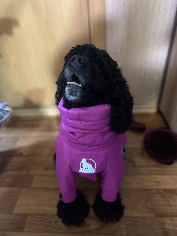 Фотография к отзыву от Козинская Светлана Анатольевна.