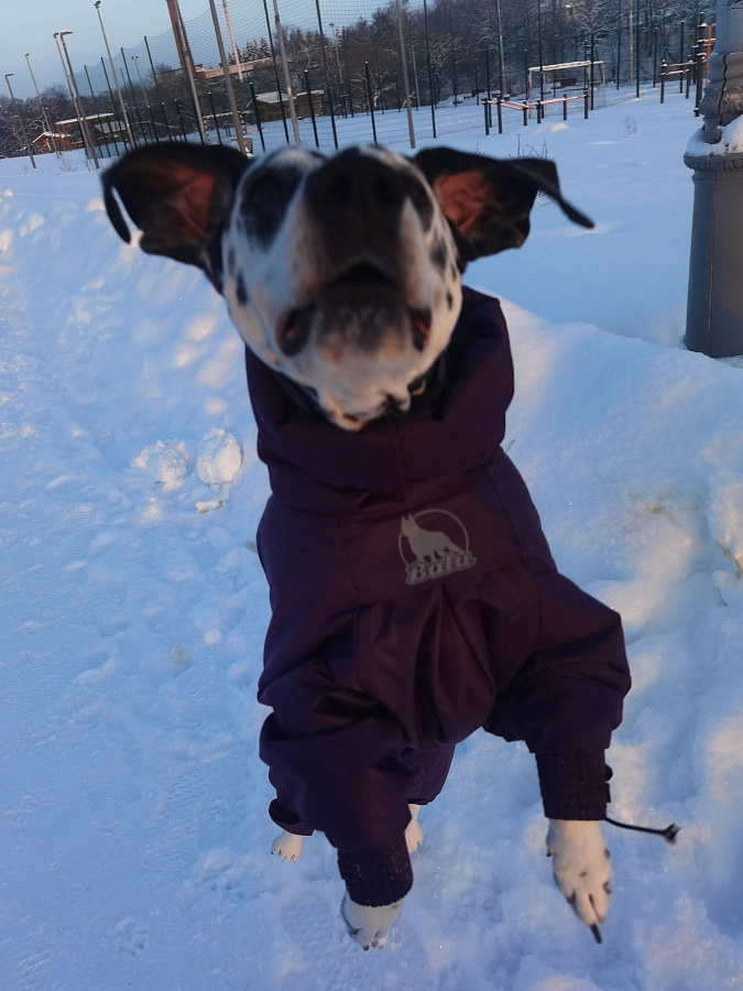 Фотография к отзыву от Гуминская Вера Николаевна .