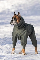 Зимний комбинезон'24