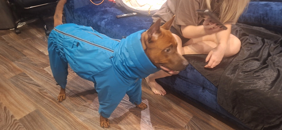 Фотография к отзыву от Скрябина Мария Викторовна.