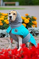 Спортивная попона