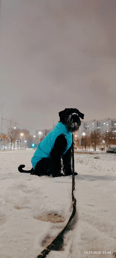 Фотография к отзыву от Александра.